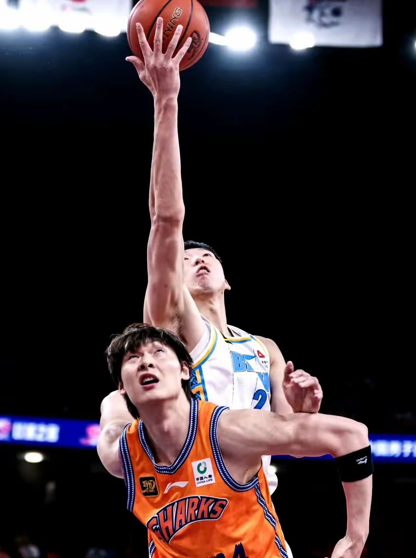 波尔陶拉维斯霸主主场喜战三，展现不甘示弱之势的简单介绍